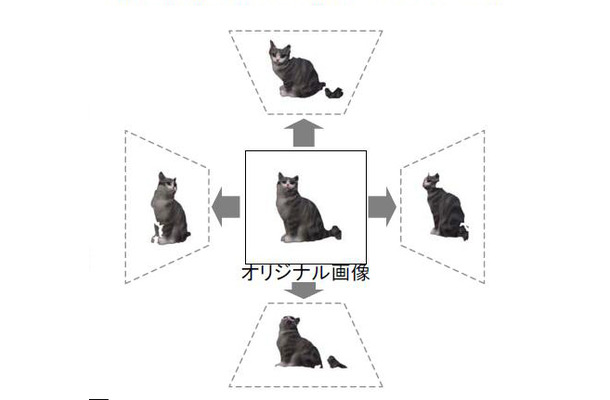 フルカラー情報付き3Dデータの表示例