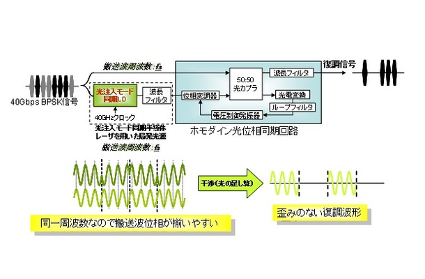 光注入モード同期半導体レーザを局部発振器に用いた光位相同期回路ブロック図と復調のイメージ