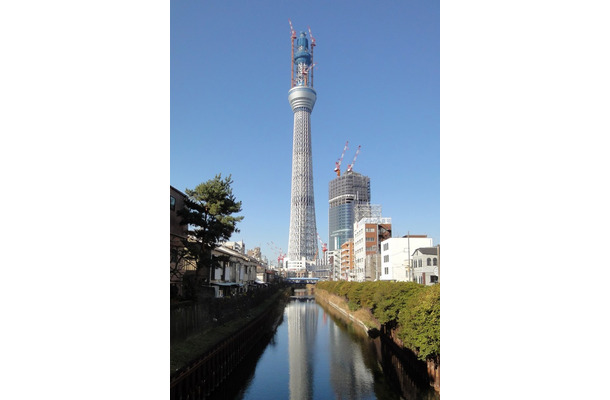 東京スカイツリー（12月12日、十間橋より撮影）