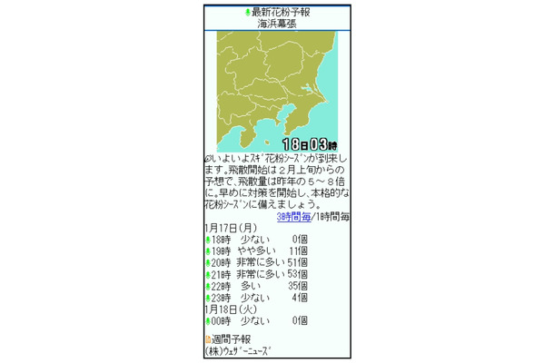 外出や洗濯などで気になる花粉飛散量を1時間ごとに予報（携帯版の画面）