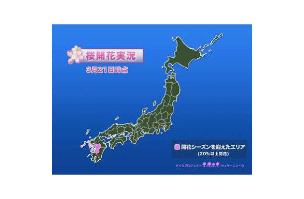 桜開花実況図。まだ九州の一部でしか開花していない