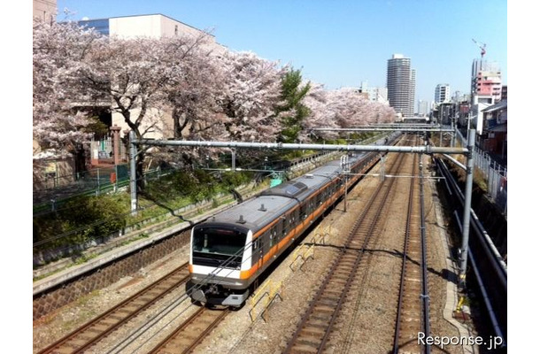 東京の桜の名所のひとつ。JR中央線東中野駅西方