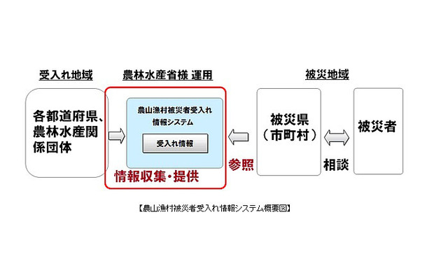 システム概要