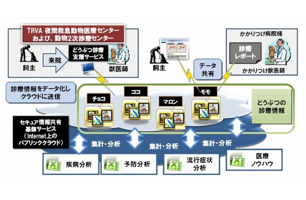 診療情報を地域内で共有・活用できるシステムのイメージ図