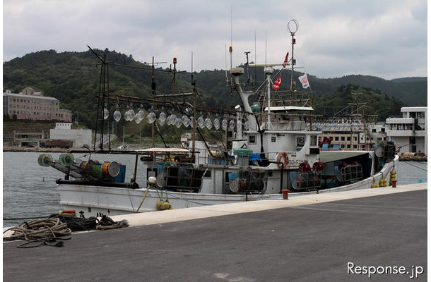 7月より業務を再開した女川魚市場。地盤沈下した岸壁をかさ上げしたために、建物が地下に埋もれる形になった