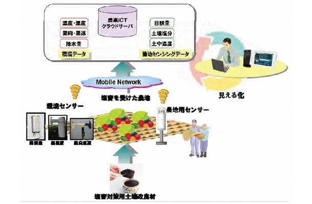 塩害を受けた農地への観測センサーの設置イメージ