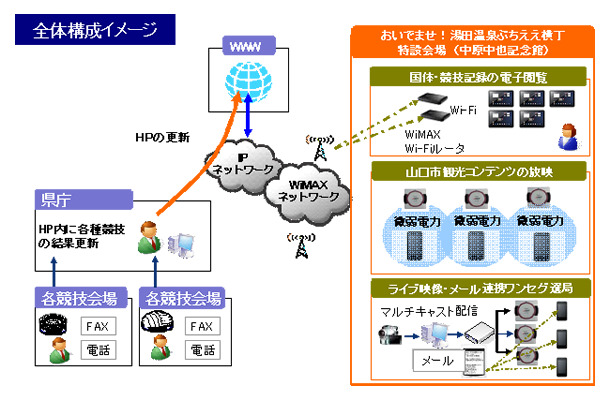 実験のイメージ図（全体構成）