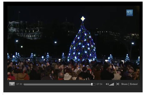 ナショナルクリスマスツリー点灯式の様子