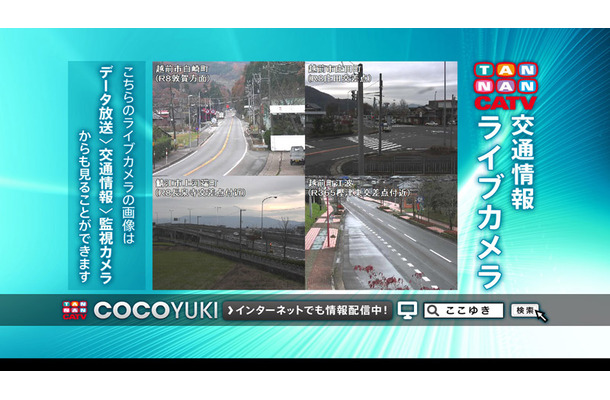 ライブカメラ
