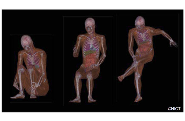 数値人体モデルのポーズ（姿勢）変更例