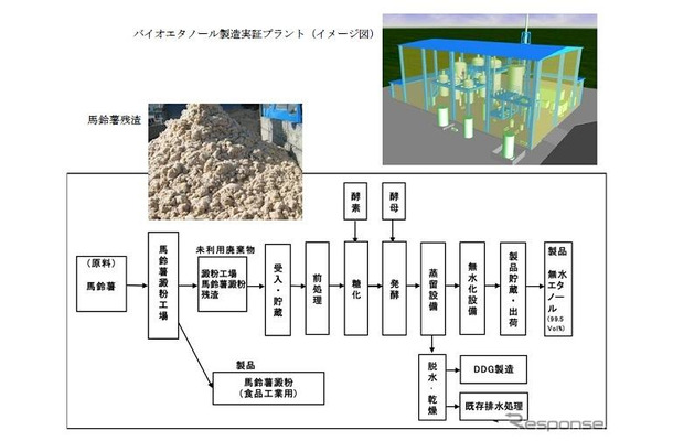 糖化・発酵プロセス