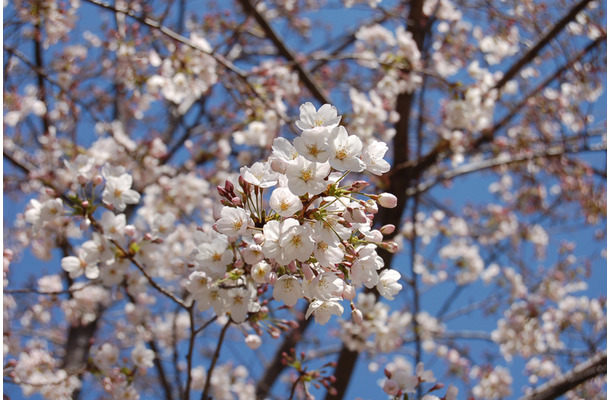 元町公園山手側