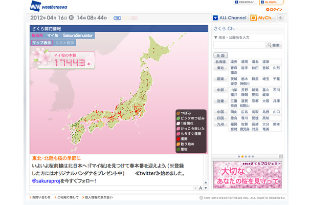 ウェザーニュースの「さくら Ch.」