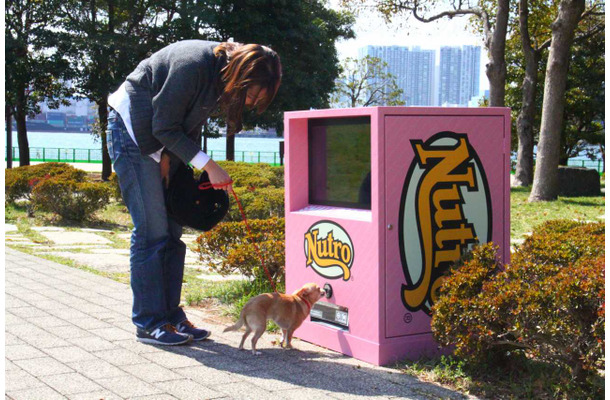 小型犬が自動販売機でサンプリング商品を出すようす