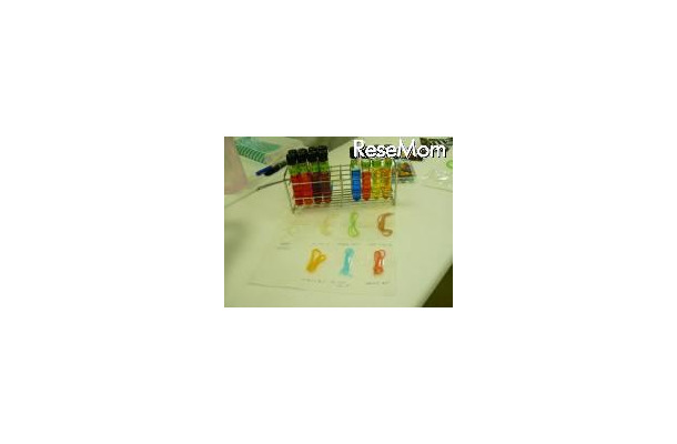 着色料を使った毛糸の染色の実験