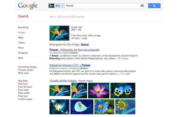 これまでの画像検索。画像が「flower」と認識されている