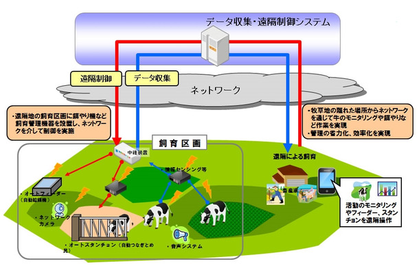 遠隔地からの放牧牛の飼育管理イメージ図