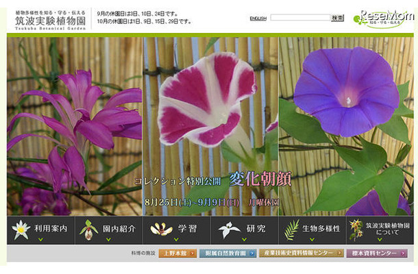 国立科学博物館筑波実験植物園（Webサイト）