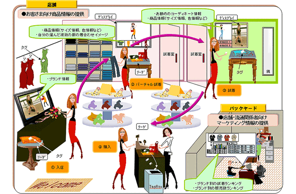 実験の概要図