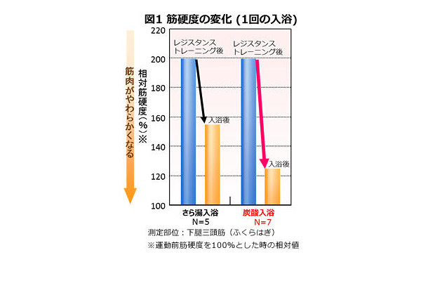 筋硬度の変化（1回の入浴）