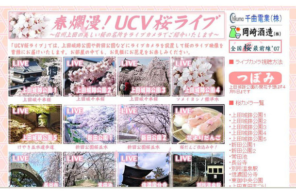 春爛漫！UCV桜ライブ