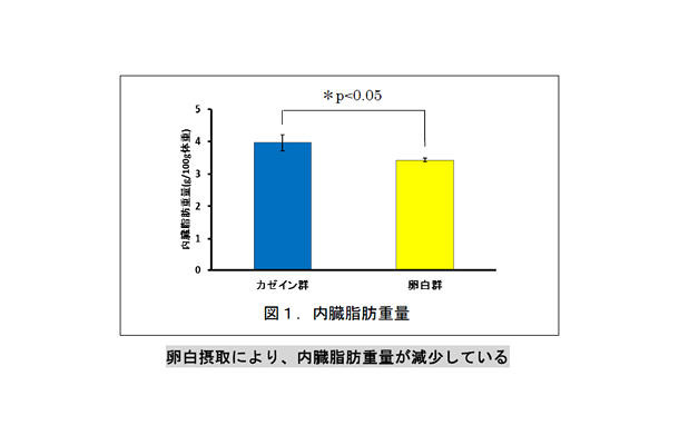 内臓脂肪重量