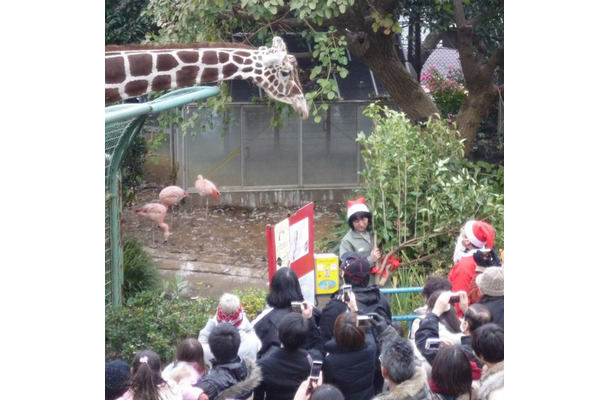 子どもたちに人気の野毛山動物園