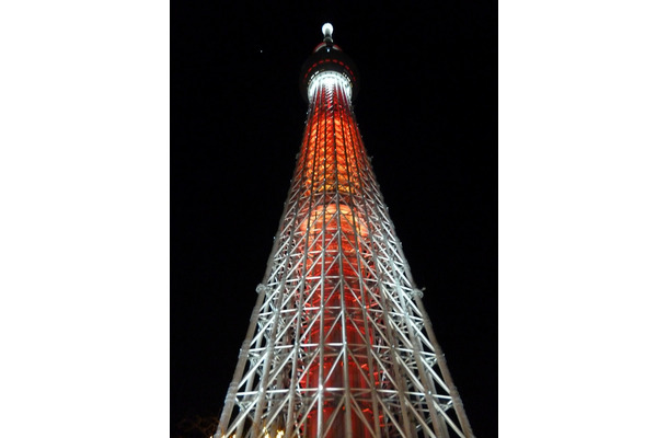 クリスマス限定色の「キャンドルツリー」ライティング