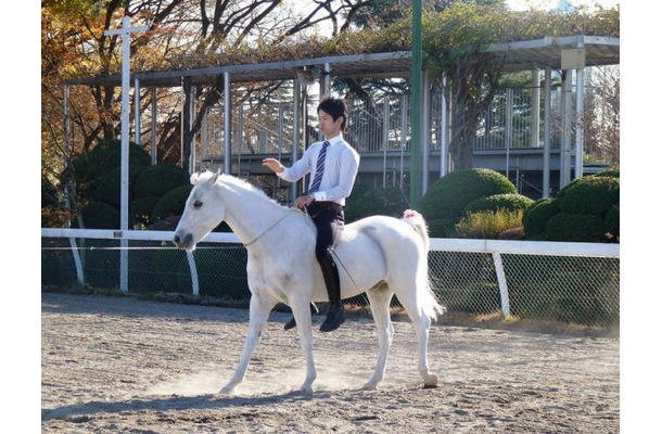 馬に親しむ日（12月開催時の様子）