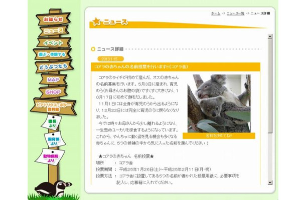 コアラの赤ちゃんに名前を付けよう（webサイト）