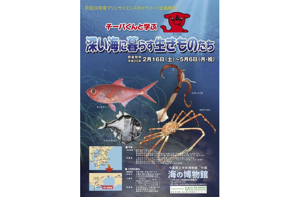マリンサイエンスギャラリー「チーバくんと学ぶ 深い海に暮らす生きものたち」