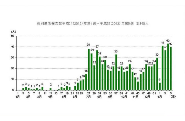 週別患者報告数（2012年第1週～2013年第5週）