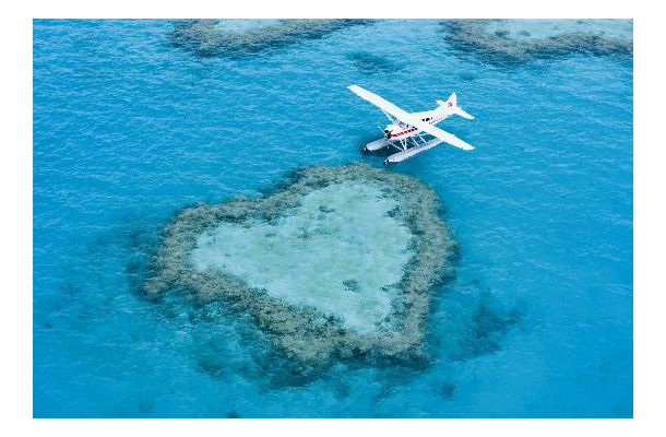 オーストラリアのハート形サンゴ礁「ハートリーフ」