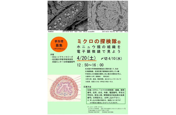 ミクロの探検隊「ホニュウ類の組織を電子顕微鏡で見てみよう」