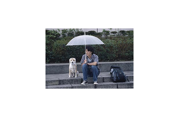 ShowTime、GW映画「犬と歩けば‐チロリとタムラ」のBB試写会を開催〜〆切は4/16