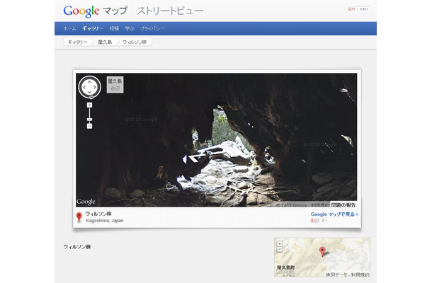 ウィルソン株