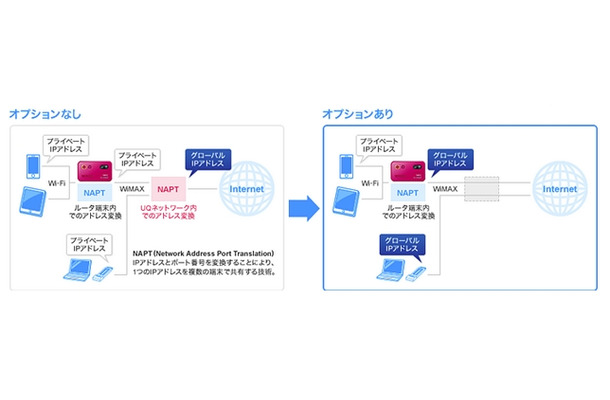 「グローバルIPアドレスオプション」の概要