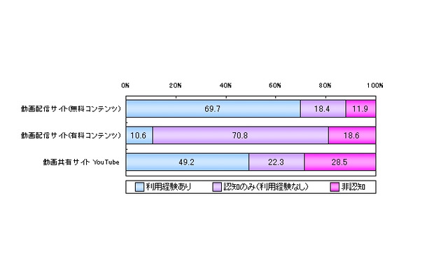 動画関連サイトの利用動向