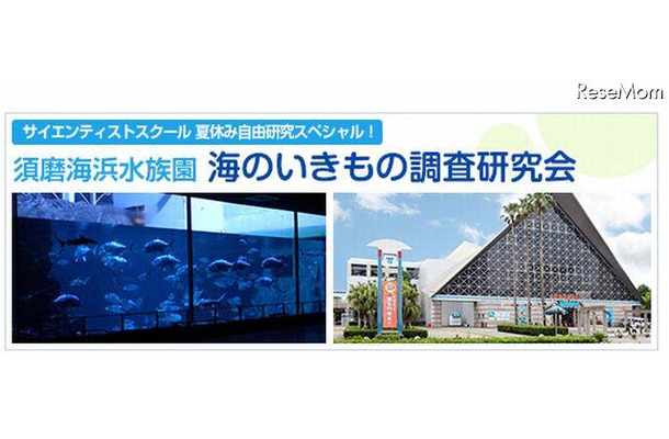 須磨海浜水族園・海のいきもの調査研究会