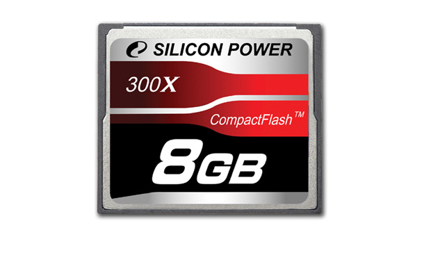 8GBの「SP008GBCFC300V10」