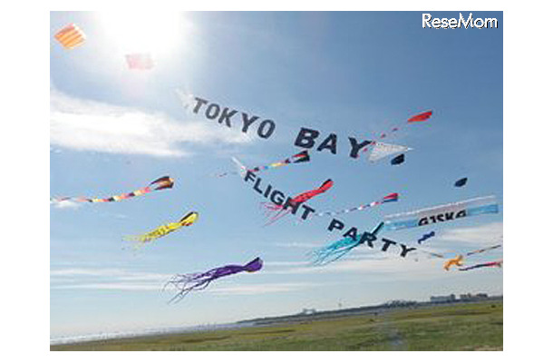 スポーツカイト全国大会「Tokyo Bay Flight party 2013」（イメージ）