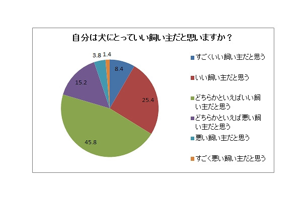 自分は犬にとっていい飼い主か