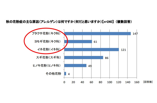 秋の花粉症の主な原因（アレルゲン）は何ですか