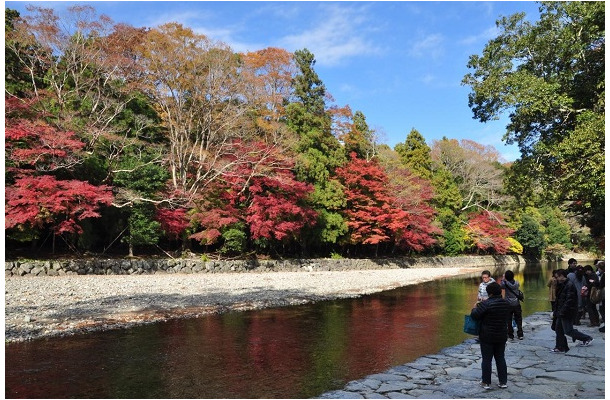 「2013年紅葉が美しい観光スポットランキング」1位に選ばれた「伊勢神宮内宮」（三重県）