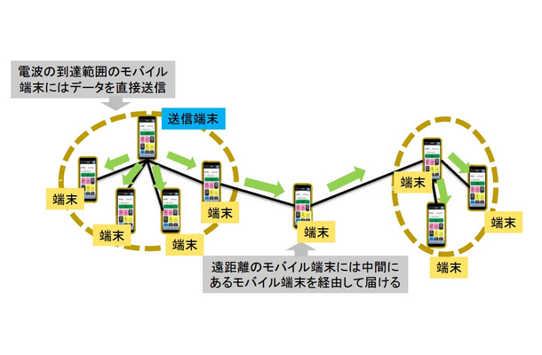 情報共有ネットワークのイメージ