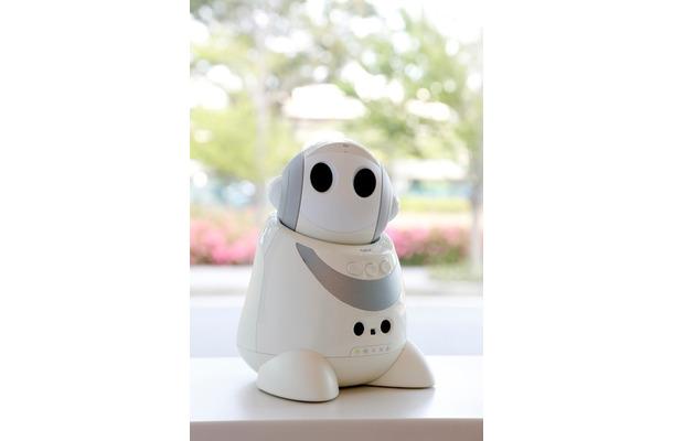 PaPeRo petit。クラウド連携型ロボットプラットフォームによる「PaPeRo パートナープログラム」を提供開始