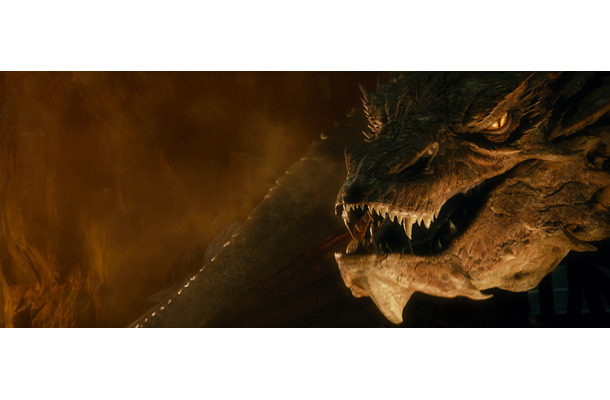 『ホビット 竜に奪われた王国』　(c) 2013 WARNER BROS. ENTERTAINMENT INC. AND METRO-GOLDWYN-MAYER PICTURES INC．