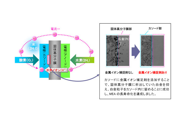 MEA構造イメージ図