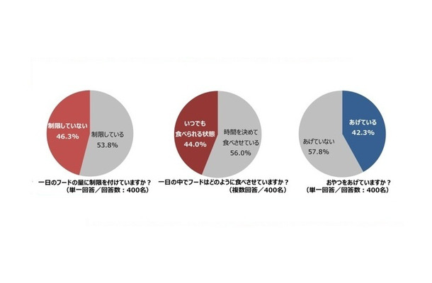 猫に関する意識調査