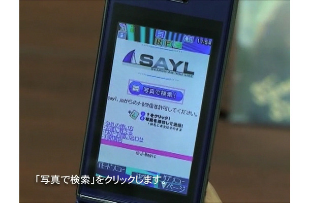 『SAYL』トップページ